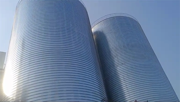 洪泽2座混凝土高架卷板仓